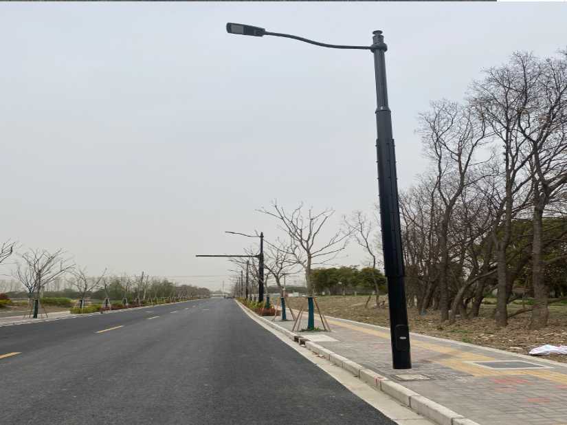 东洲区上海综合杆 太阳能路灯工程